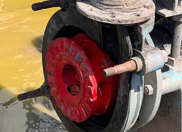 Slurry Pump for Wastewater Treatment